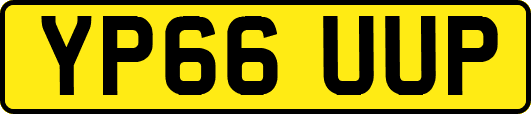 YP66UUP