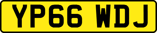 YP66WDJ