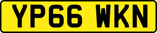 YP66WKN