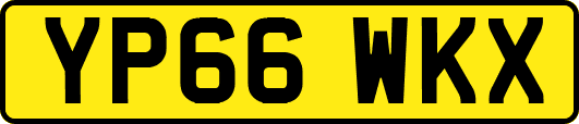 YP66WKX