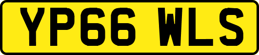 YP66WLS