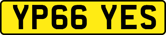 YP66YES