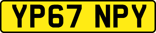 YP67NPY