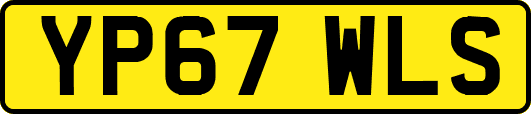 YP67WLS