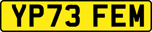 YP73FEM