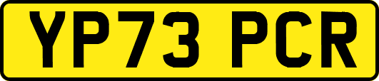 YP73PCR