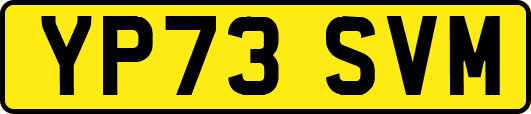 YP73SVM