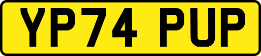 YP74PUP