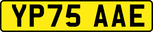 YP75AAE