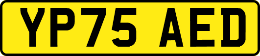 YP75AED