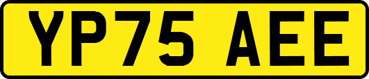 YP75AEE