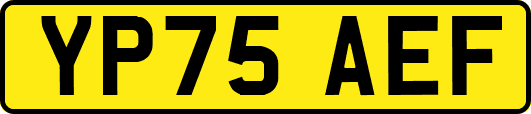 YP75AEF