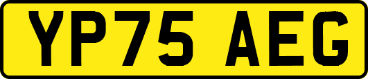 YP75AEG