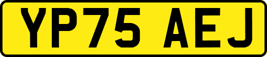 YP75AEJ