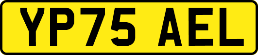 YP75AEL
