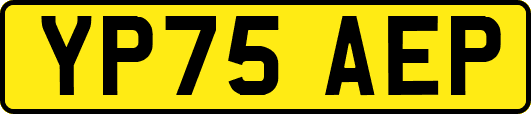 YP75AEP