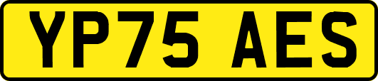 YP75AES