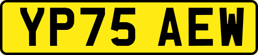 YP75AEW