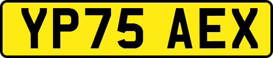 YP75AEX