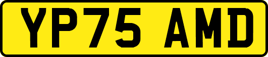YP75AMD
