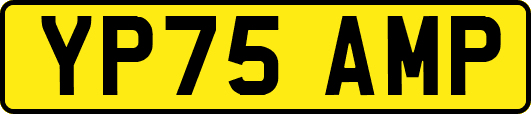 YP75AMP