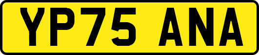 YP75ANA