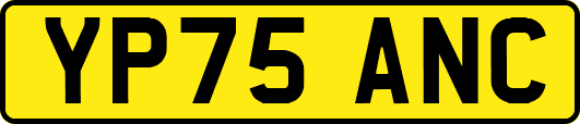 YP75ANC