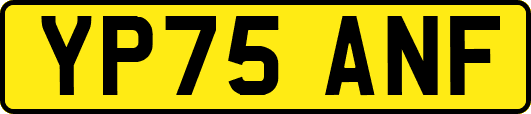 YP75ANF