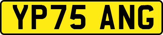 YP75ANG