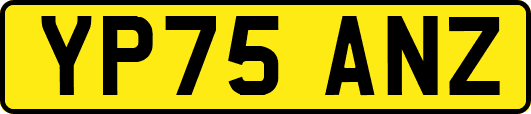 YP75ANZ