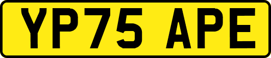 YP75APE