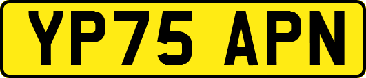 YP75APN