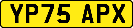 YP75APX
