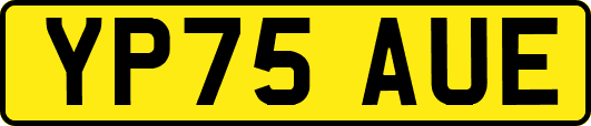 YP75AUE