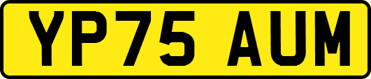 YP75AUM