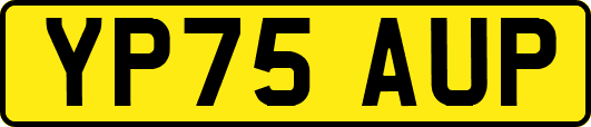 YP75AUP