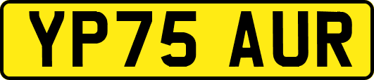 YP75AUR