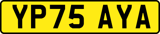 YP75AYA