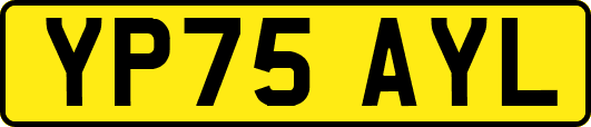 YP75AYL