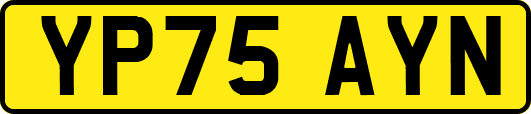 YP75AYN