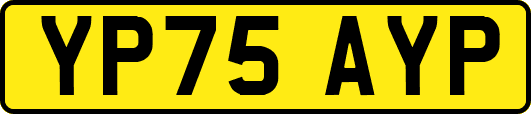 YP75AYP