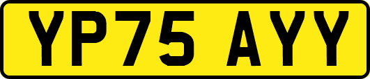 YP75AYY