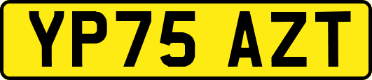 YP75AZT