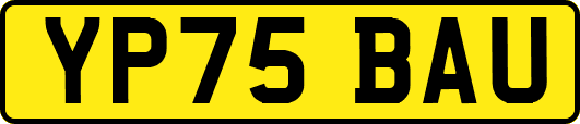 YP75BAU