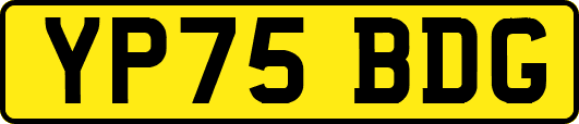 YP75BDG