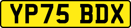 YP75BDX