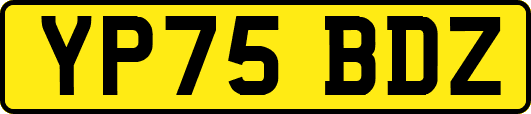 YP75BDZ