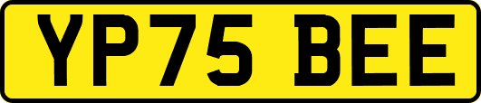 YP75BEE