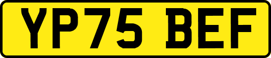 YP75BEF