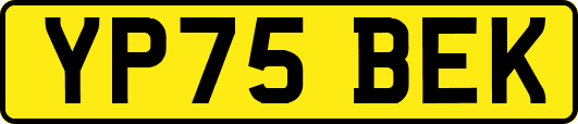 YP75BEK